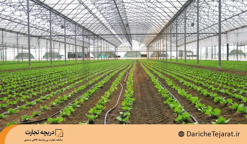 سیستم آبیاری قطره ای در گلخانه