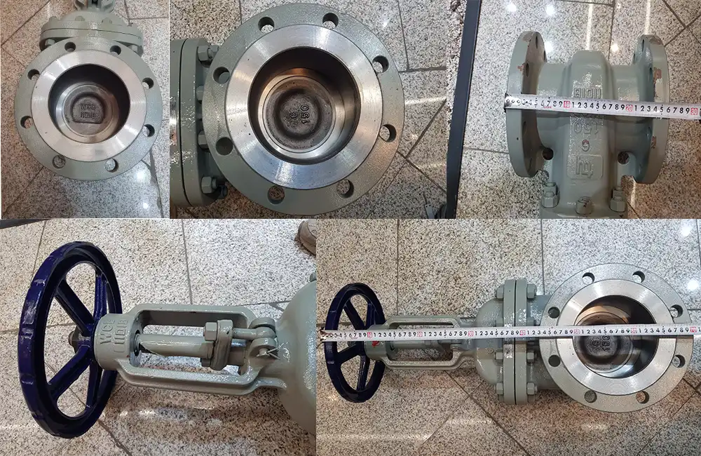 شیر دروازه ای