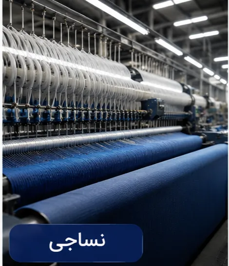 والزومین